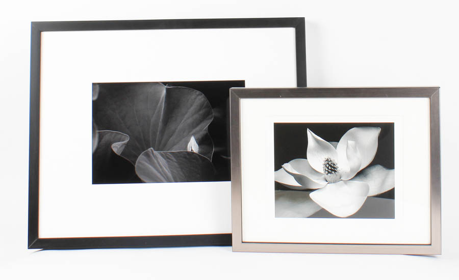 Pair of Black and White Floral Prints