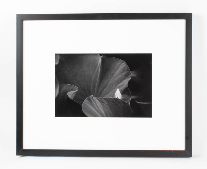 Pair of Black and White Floral Prints