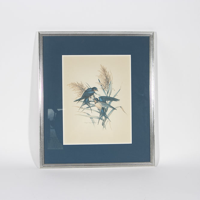 Roger Tory Peterson "Barn Swallow" Lithograph