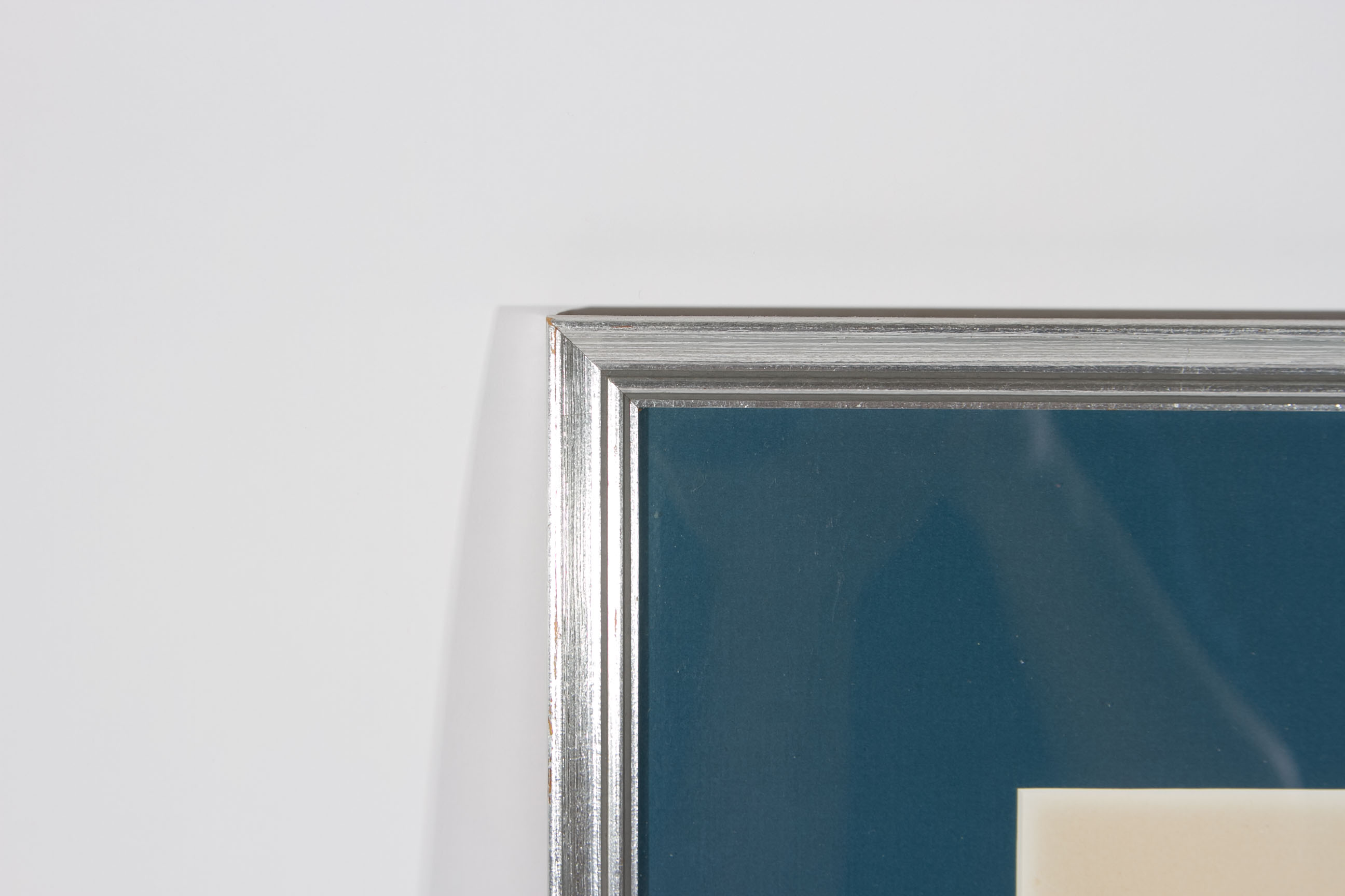 Roger Tory Peterson "Barn Swallow" Lithograph