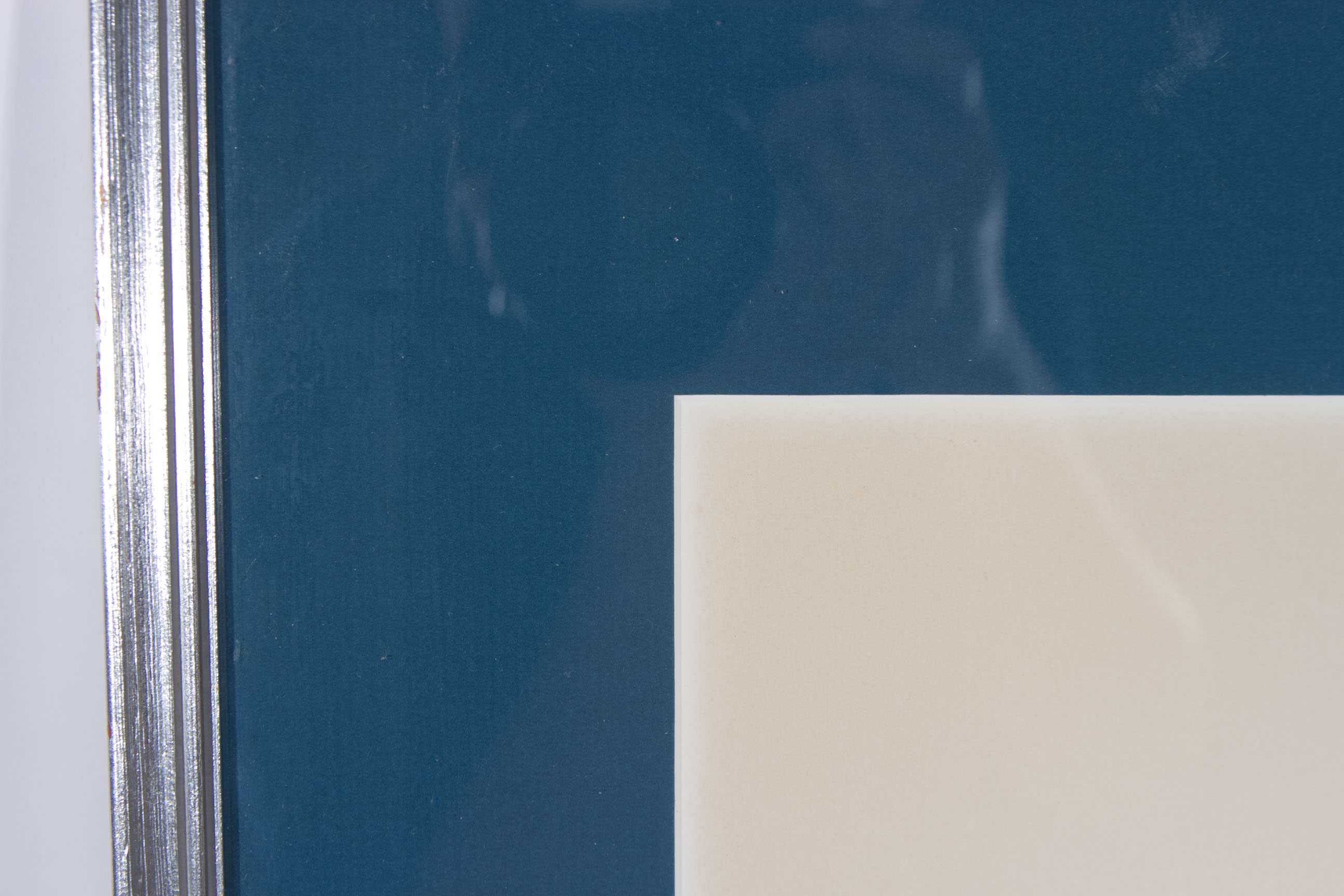 Roger Tory Peterson "Barn Swallow" Lithograph