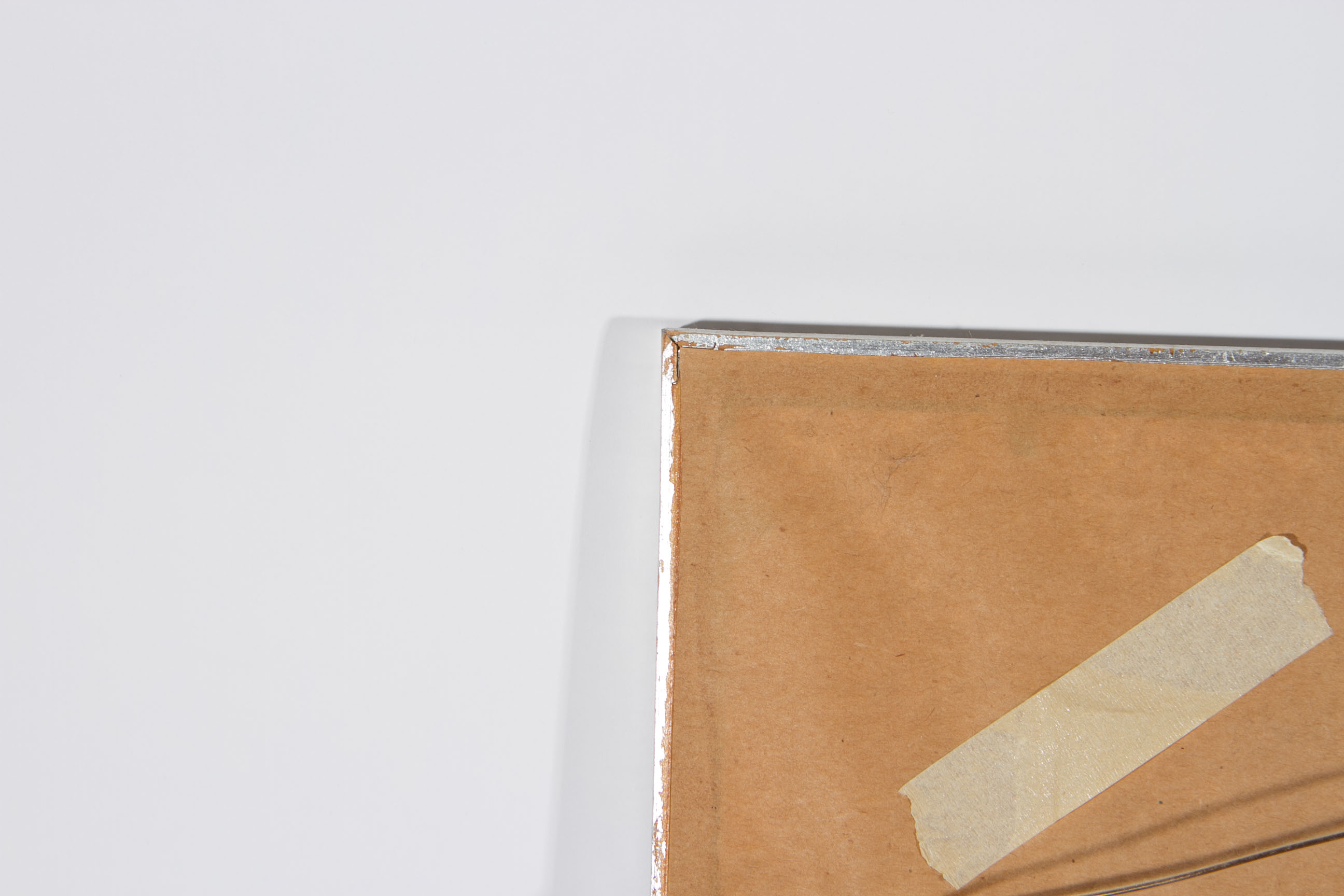 Roger Tory Peterson "Barn Swallow" Lithograph