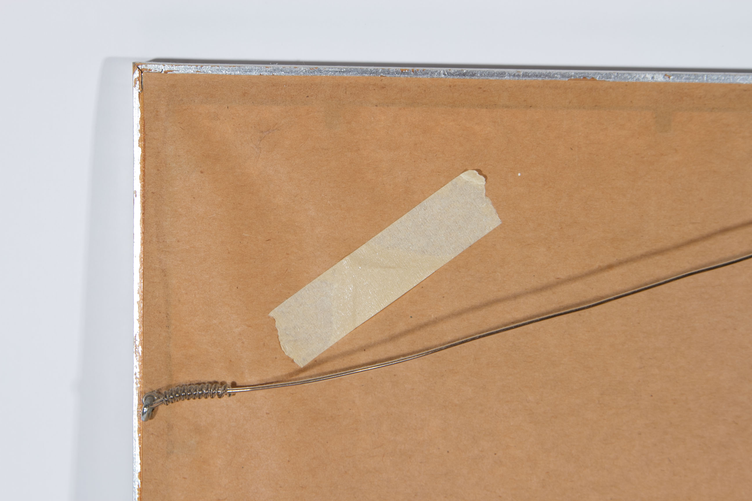 Roger Tory Peterson "Barn Swallow" Lithograph