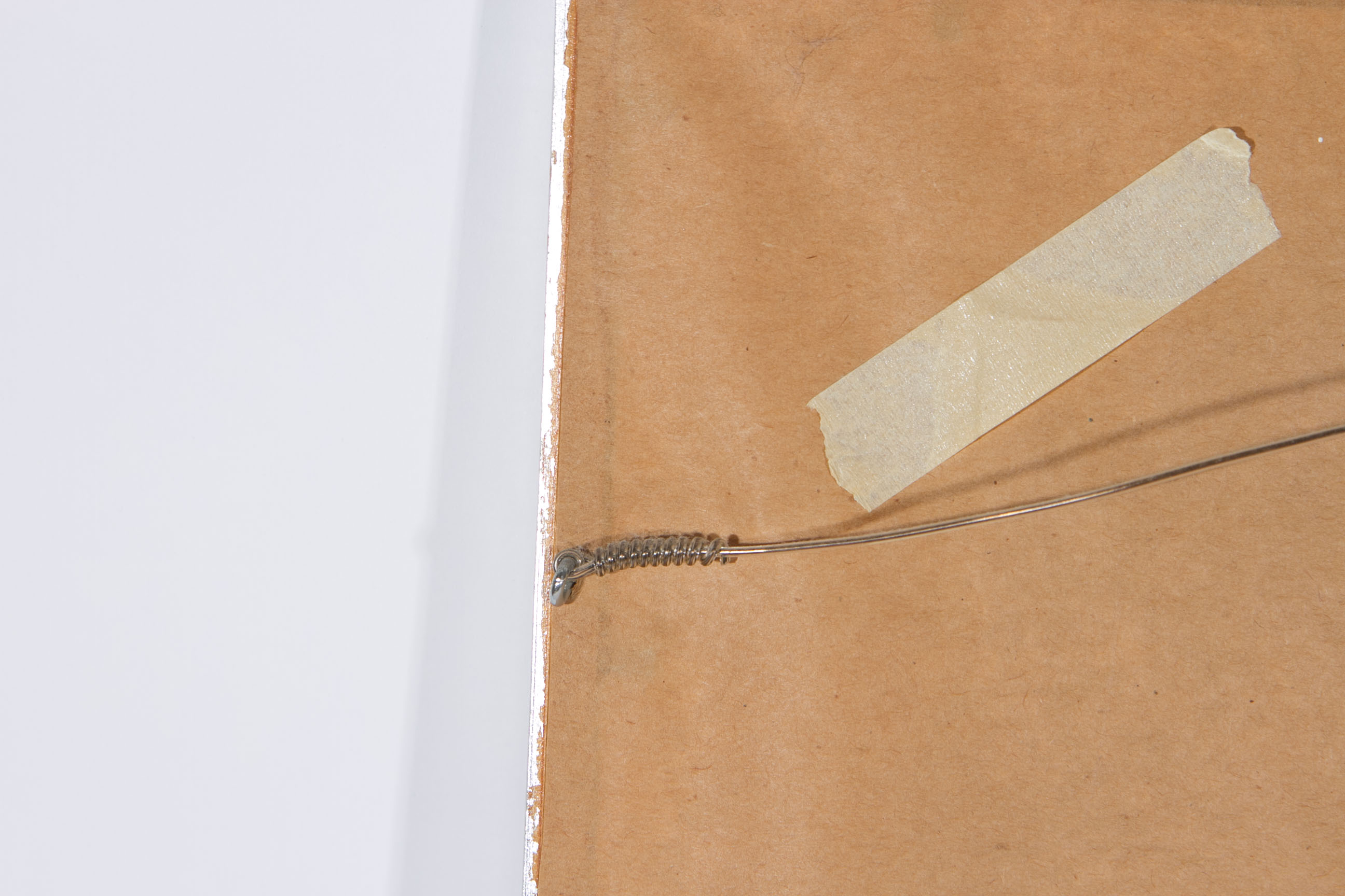 Roger Tory Peterson "Barn Swallow" Lithograph