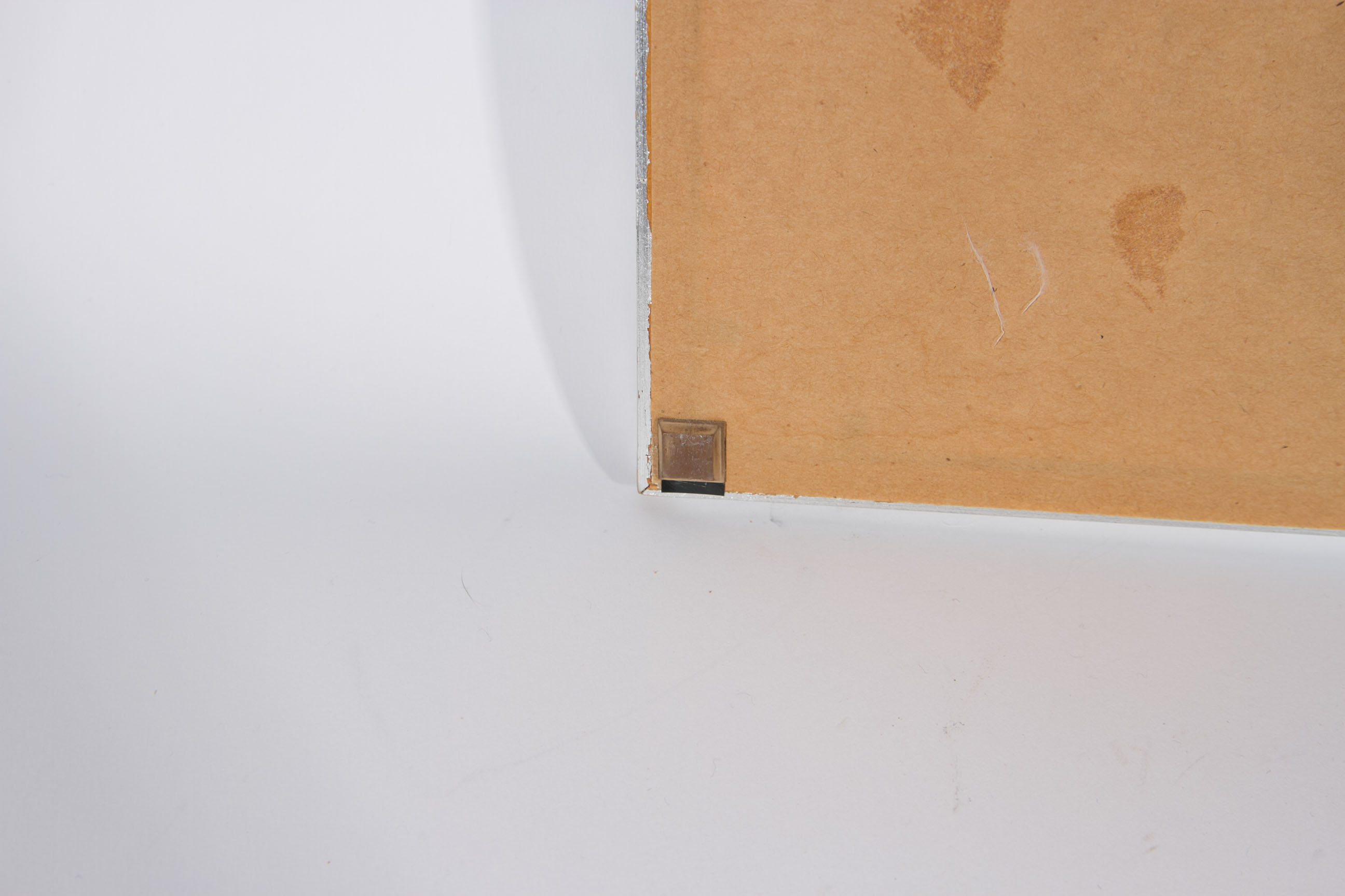 Roger Tory Peterson "Barn Swallow" Lithograph