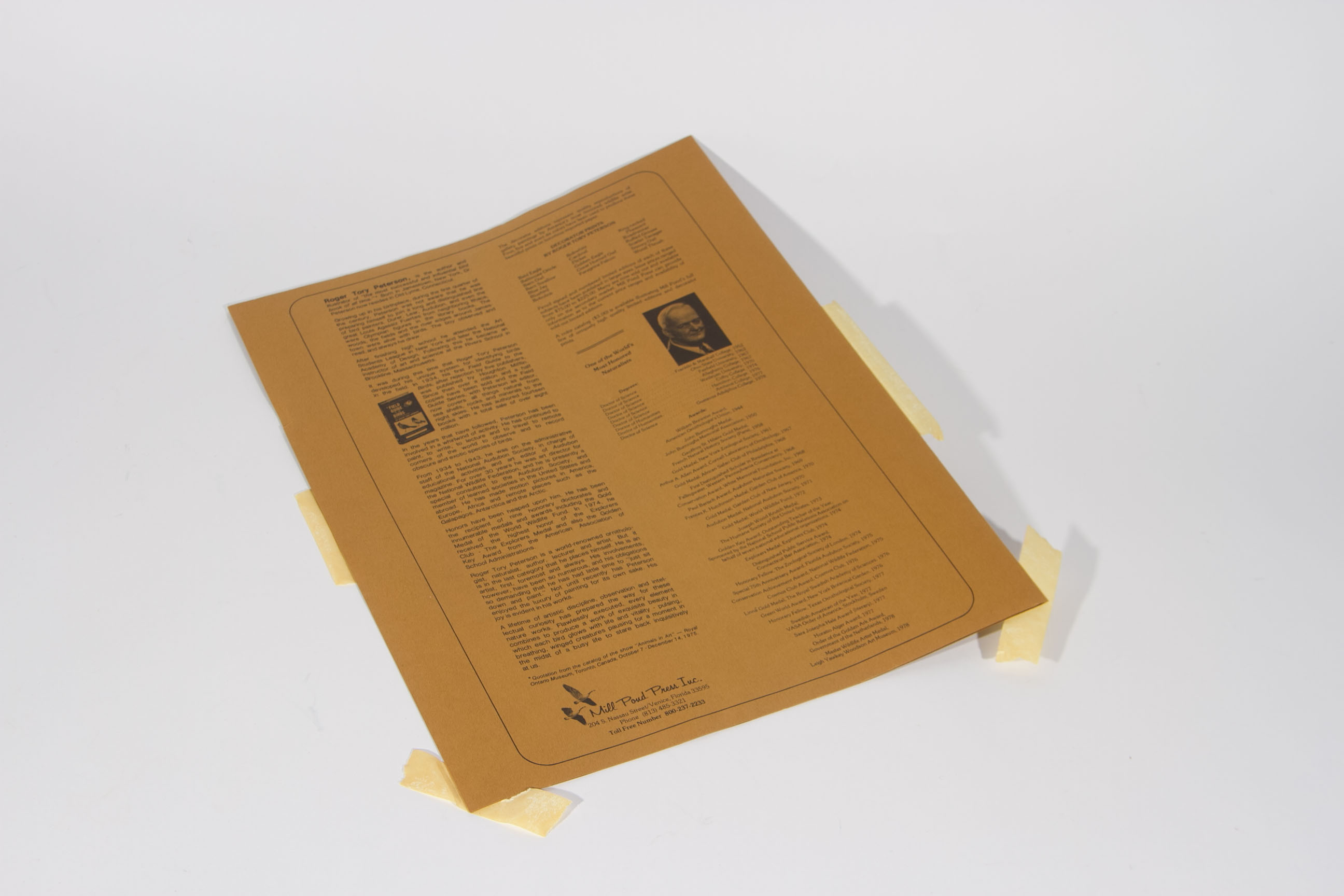 Roger Tory Peterson "Barn Swallow" Lithograph