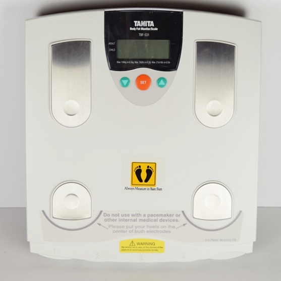 Schwinn 240 Recumbent Exercise Bike