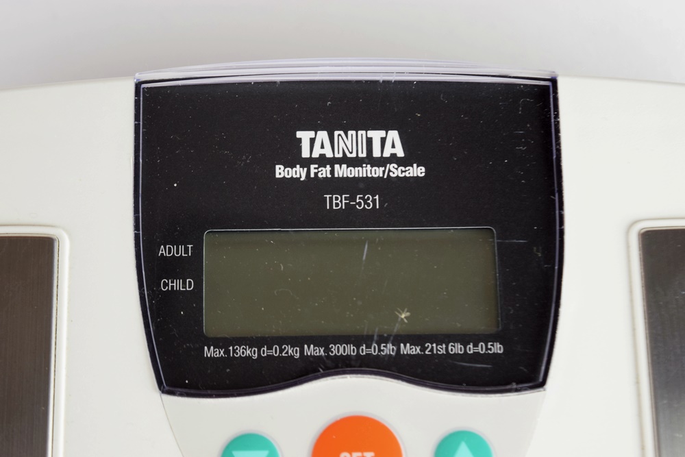 Schwinn 240 Recumbent Exercise Bike