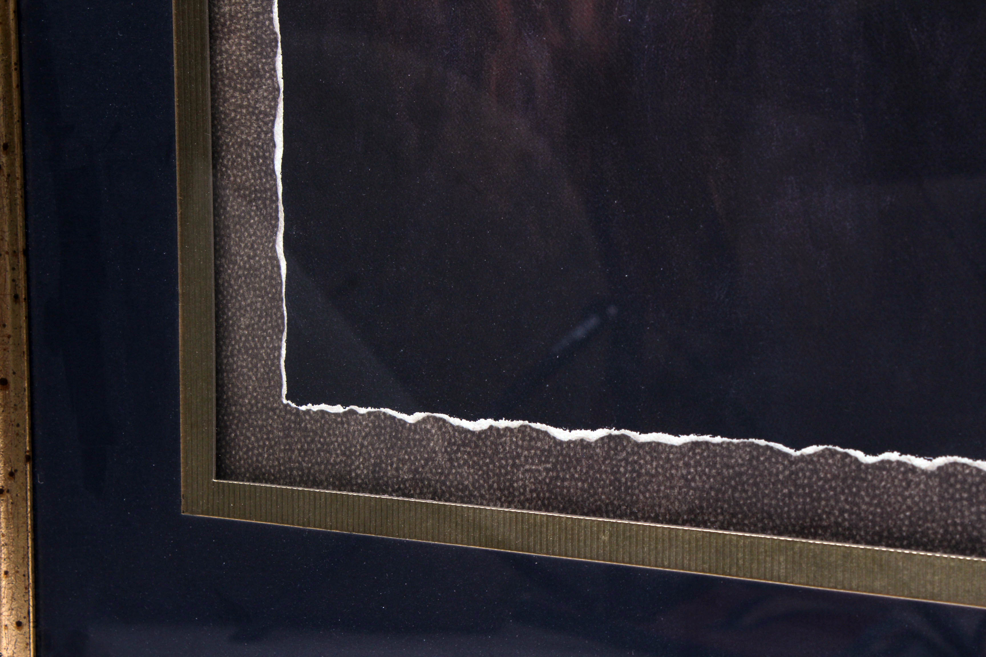 Sam Bafaro Print "Lion"