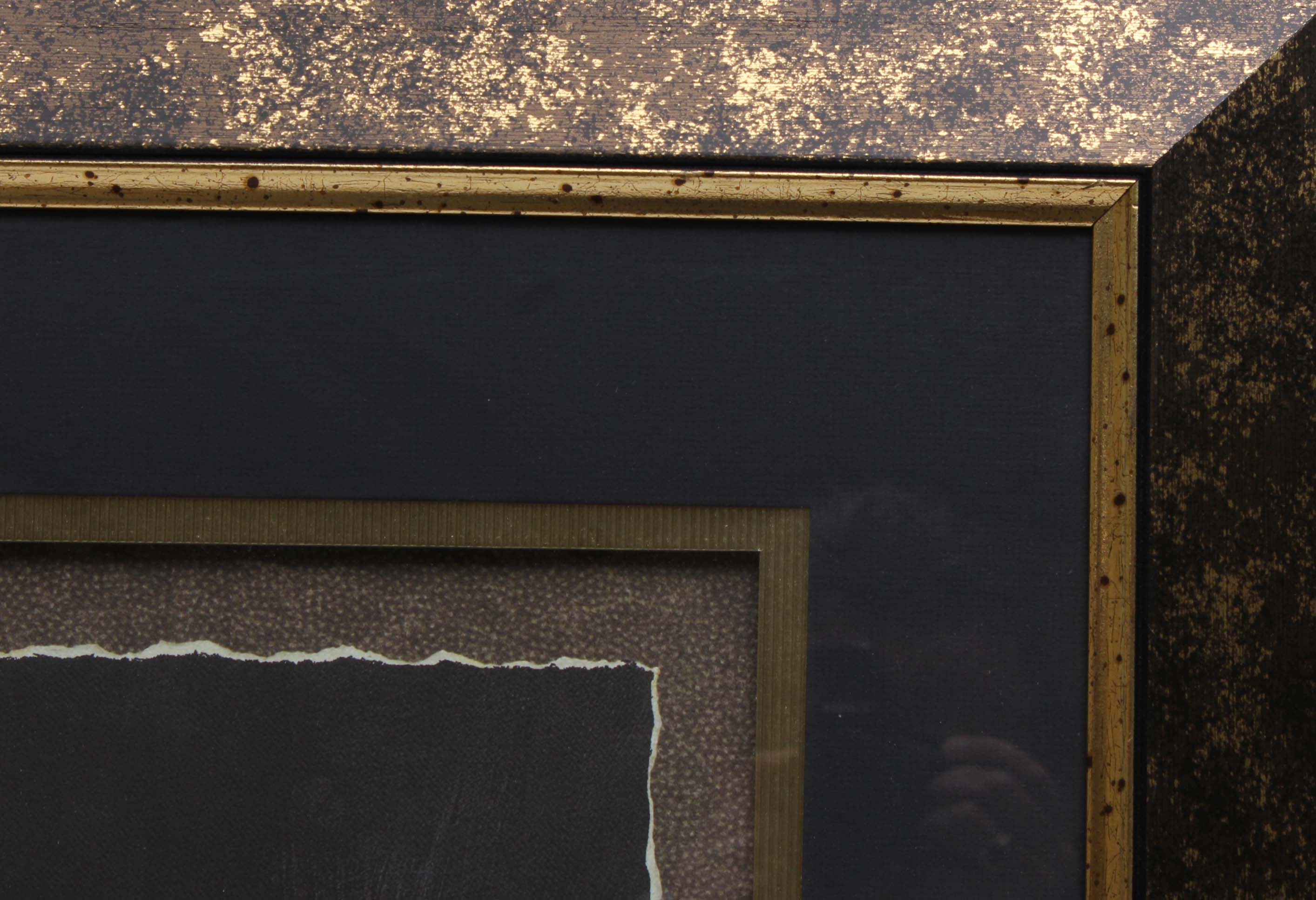 Sam Bafaro Print "Lion"