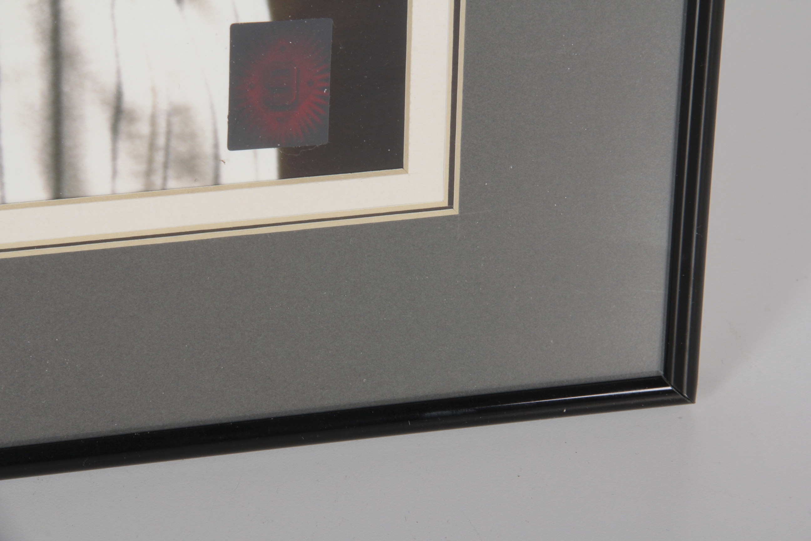 Ted Williams Signed Photograph Picturing Babe Ruth