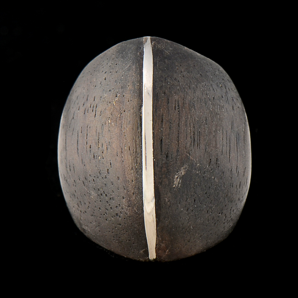 Handmade Wooden Ring with Silver Inlay