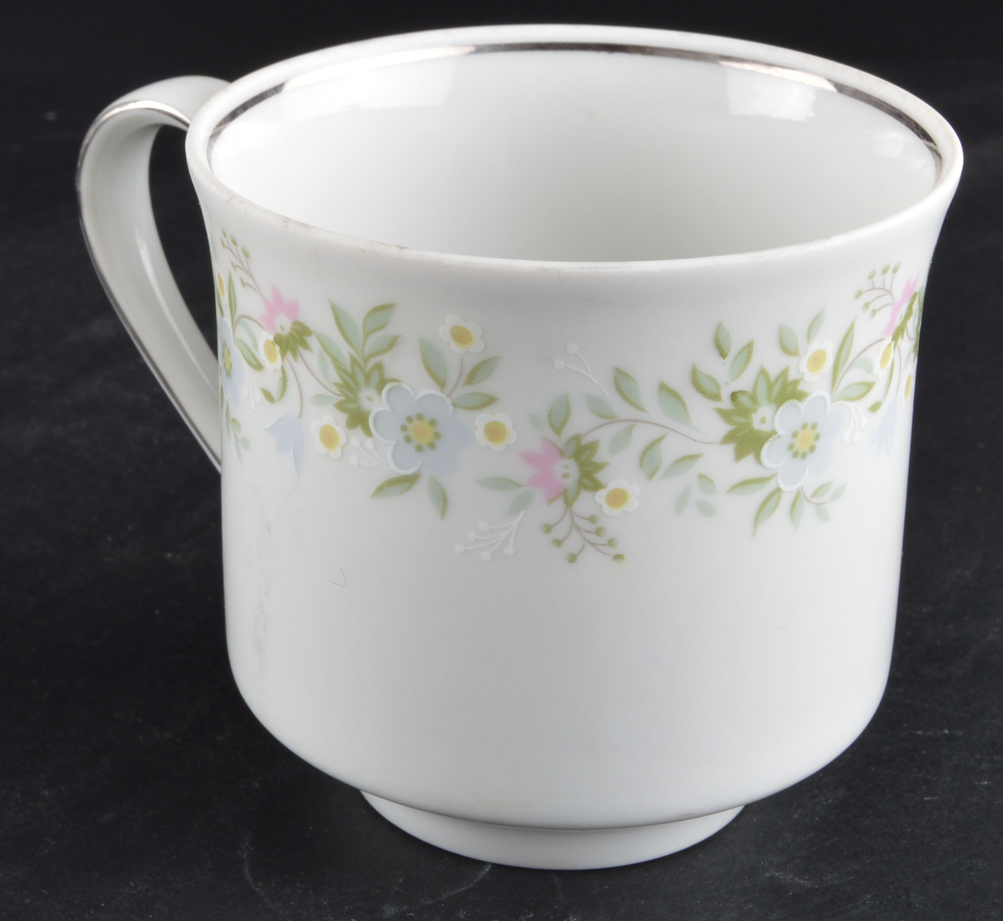 Set of Johann Haviland Floral Silver Trim China