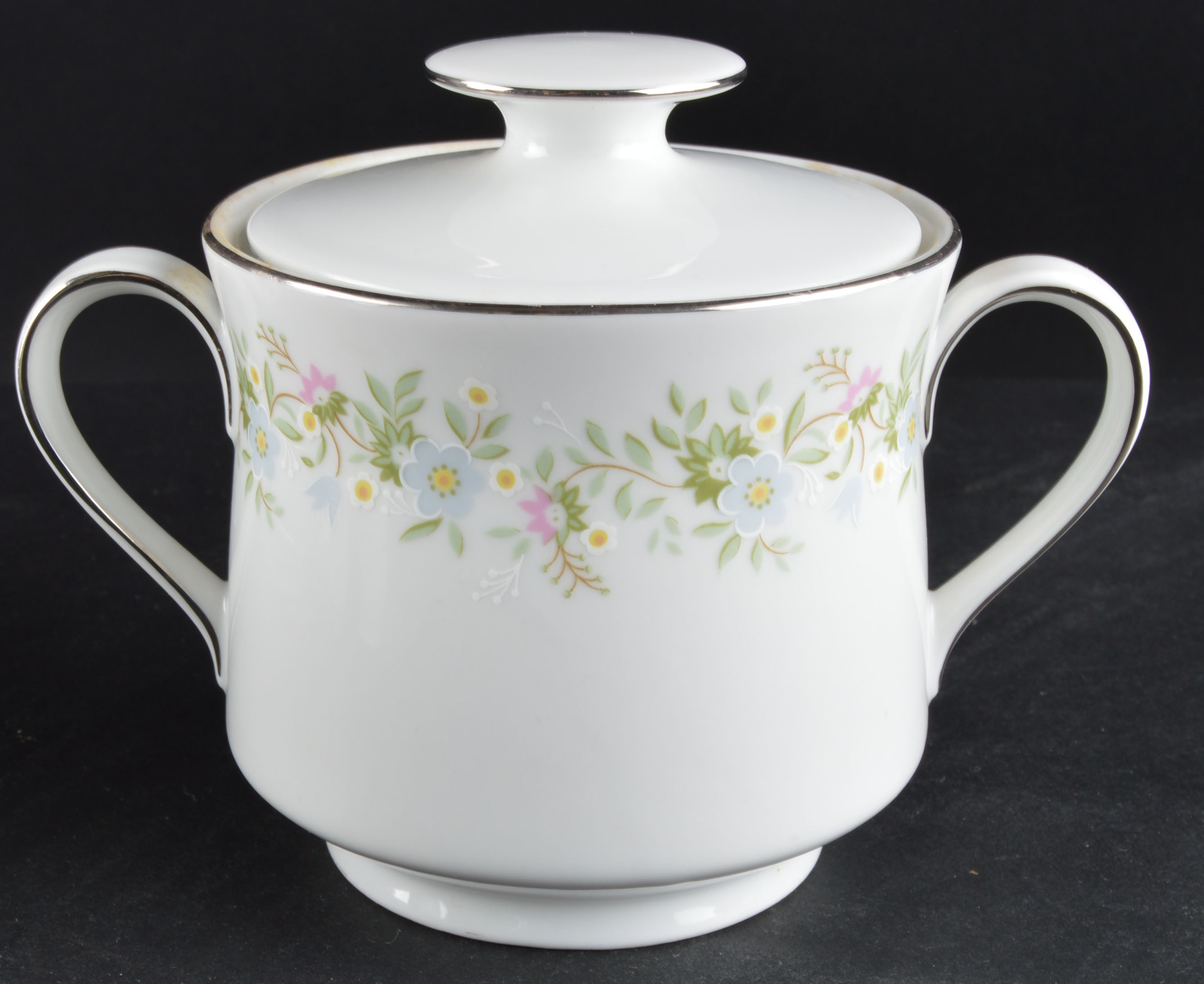 Set of Johann Haviland Floral Silver Trim China