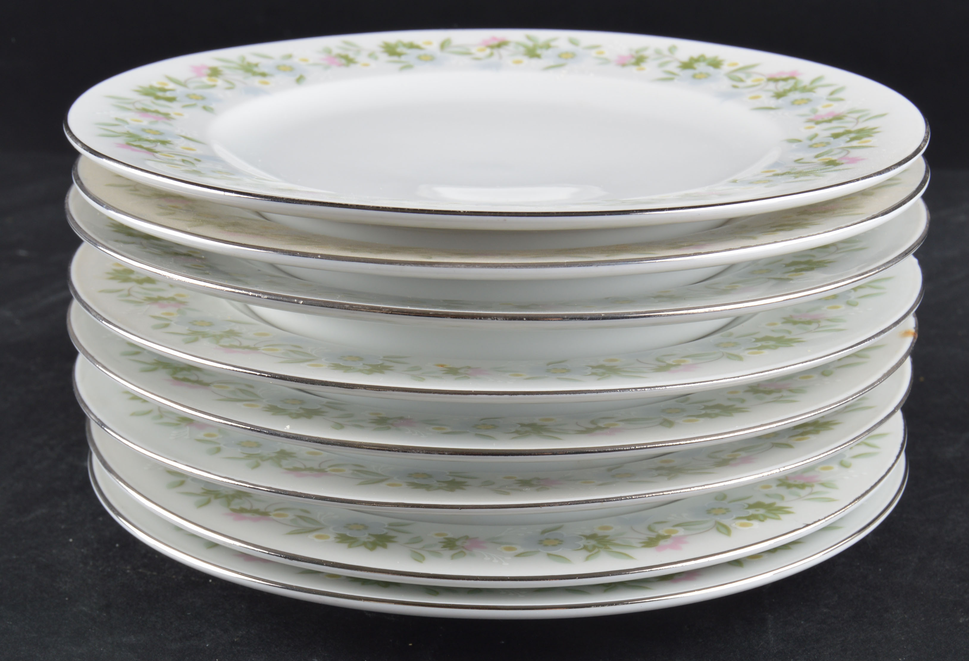 Set of Johann Haviland Floral Silver Trim China
