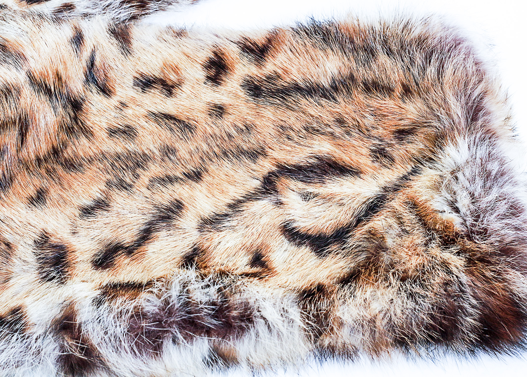 Tory Burch Rabbit Fur Wrap with Spots