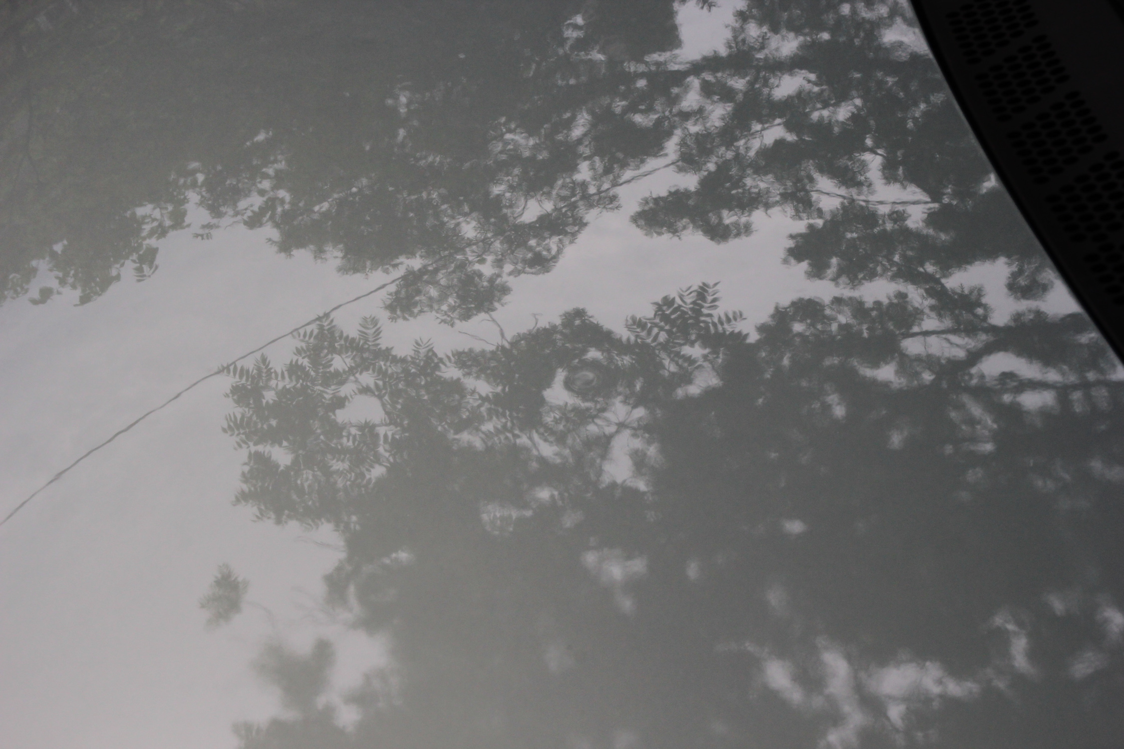 2006 Honda Civic Hybrid