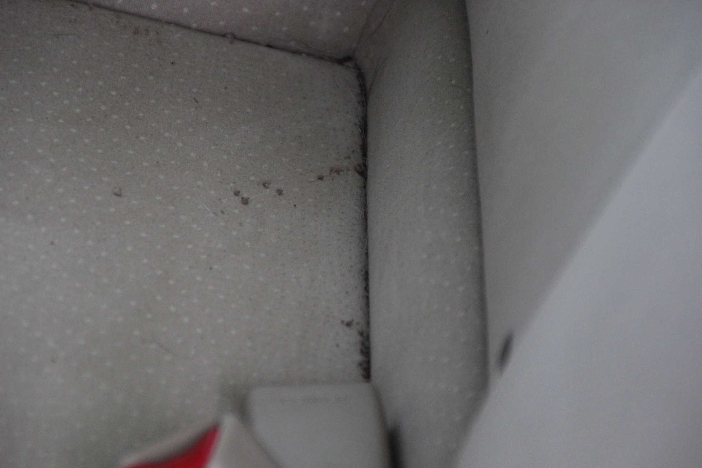 2006 Honda Civic Hybrid