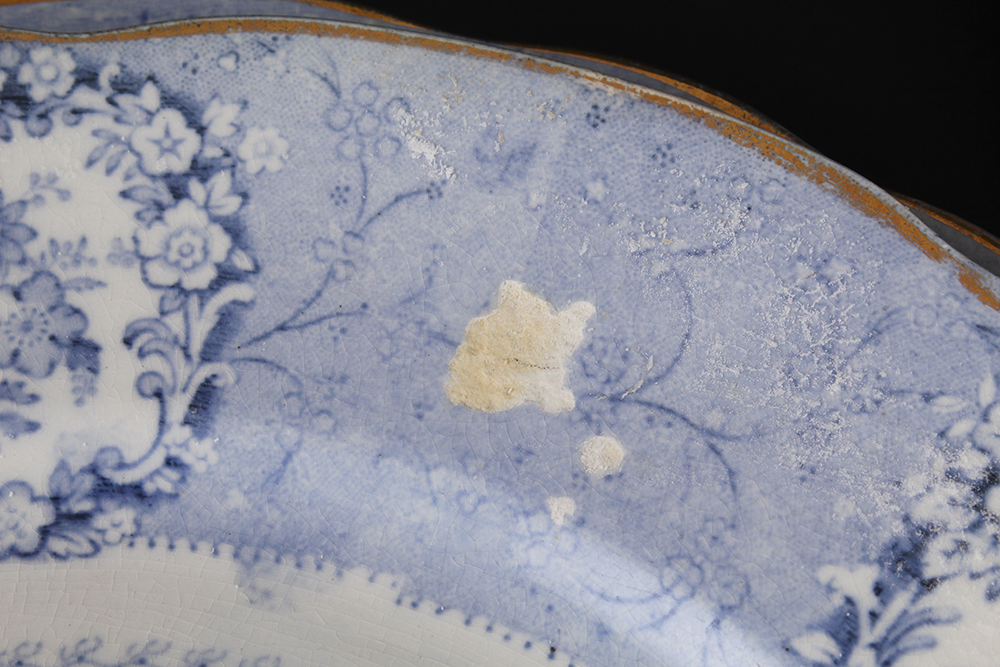 Early Twentieth Century Ridgways "Oriental" China Plates