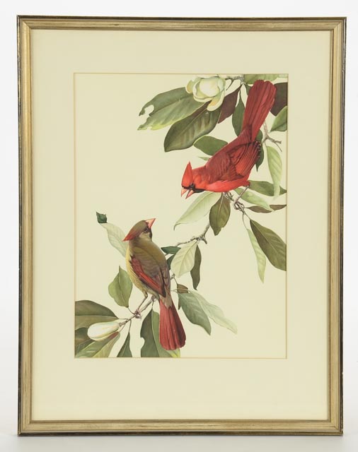 Trio of Roger Tory Peterson Offset Lithographs