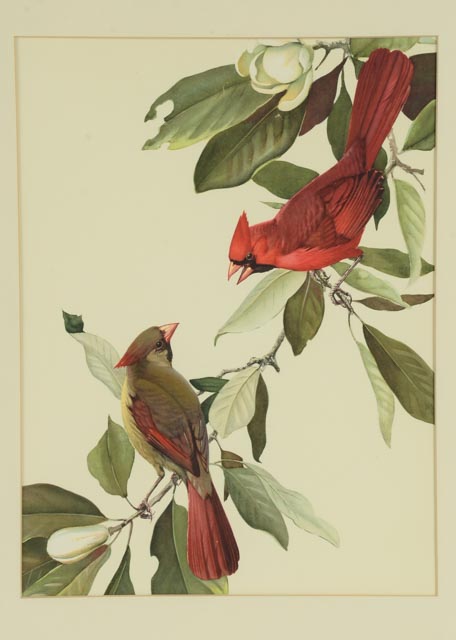 Trio of Roger Tory Peterson Offset Lithographs