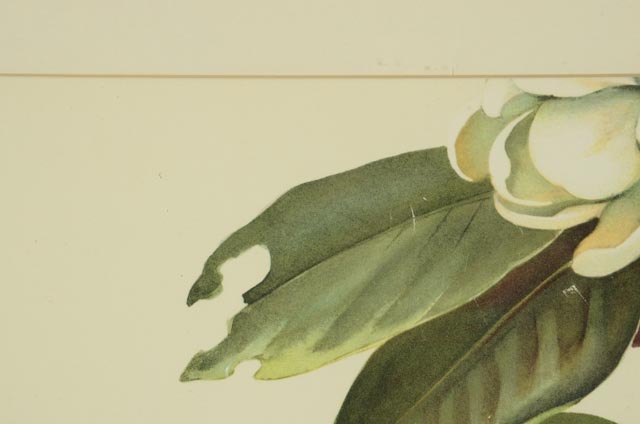 Trio of Roger Tory Peterson Offset Lithographs