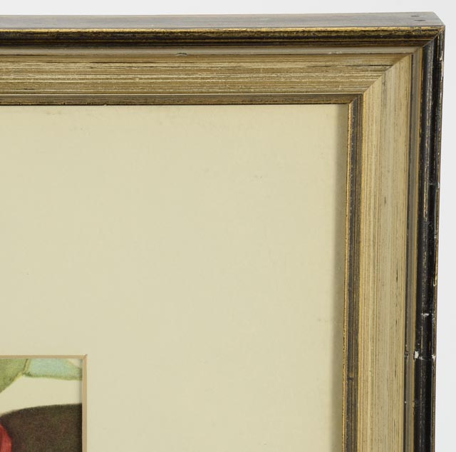 Trio of Roger Tory Peterson Offset Lithographs