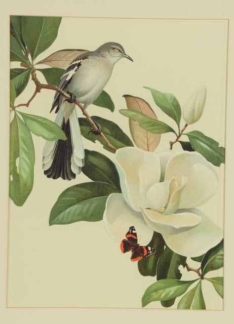 Trio of Roger Tory Peterson Offset Lithographs