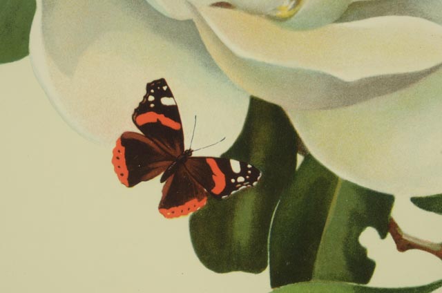 Trio of Roger Tory Peterson Offset Lithographs