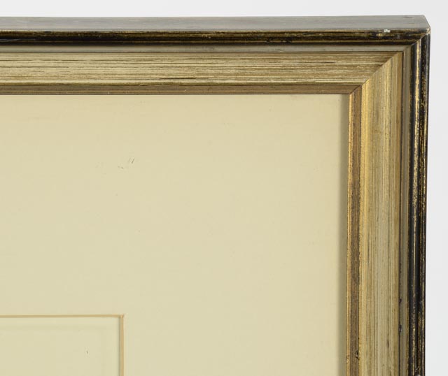 Trio of Roger Tory Peterson Offset Lithographs