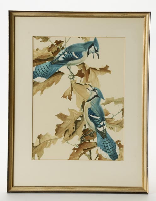 Trio of Roger Tory Peterson Offset Lithographs