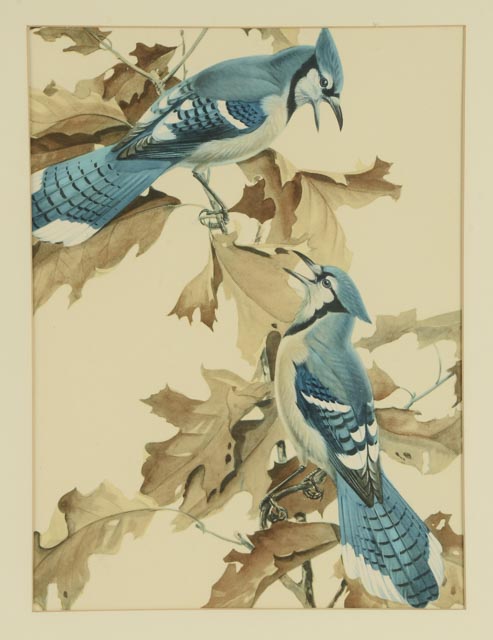 Trio of Roger Tory Peterson Offset Lithographs