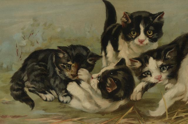 C. L. Van Vredenburgh 1895 Chromolithographs "A Yard of Cats"