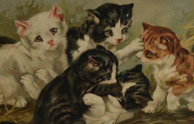 C. L. Van Vredenburgh 1895 Chromolithographs "A Yard of Cats"