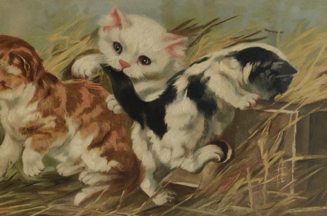 C. L. Van Vredenburgh 1895 Chromolithographs "A Yard of Cats"