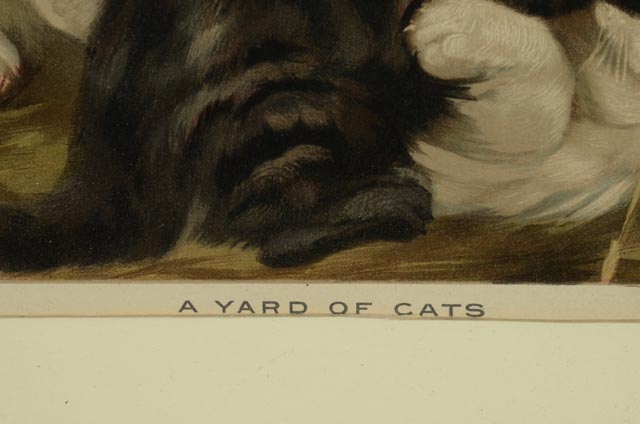 C. L. Van Vredenburgh 1895 Chromolithographs "A Yard of Cats"