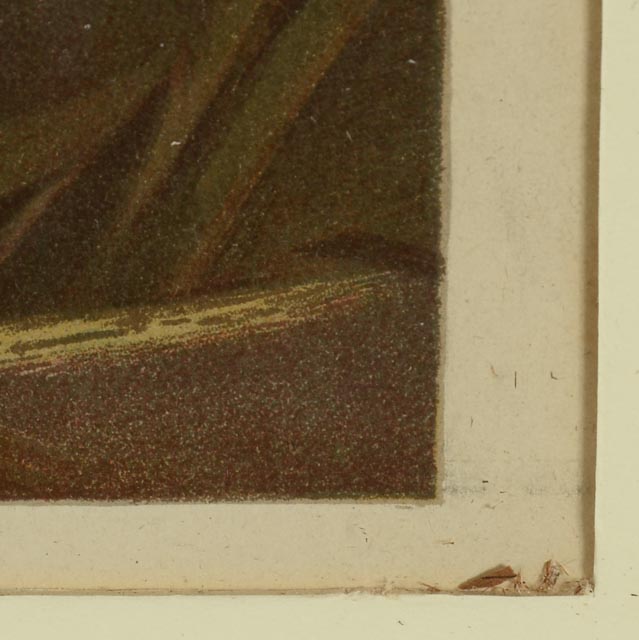 C. L. Van Vredenburgh 1895 Chromolithographs "A Yard of Cats"