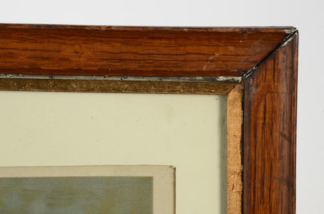 C. L. Van Vredenburgh 1895 Chromolithographs "A Yard of Cats"