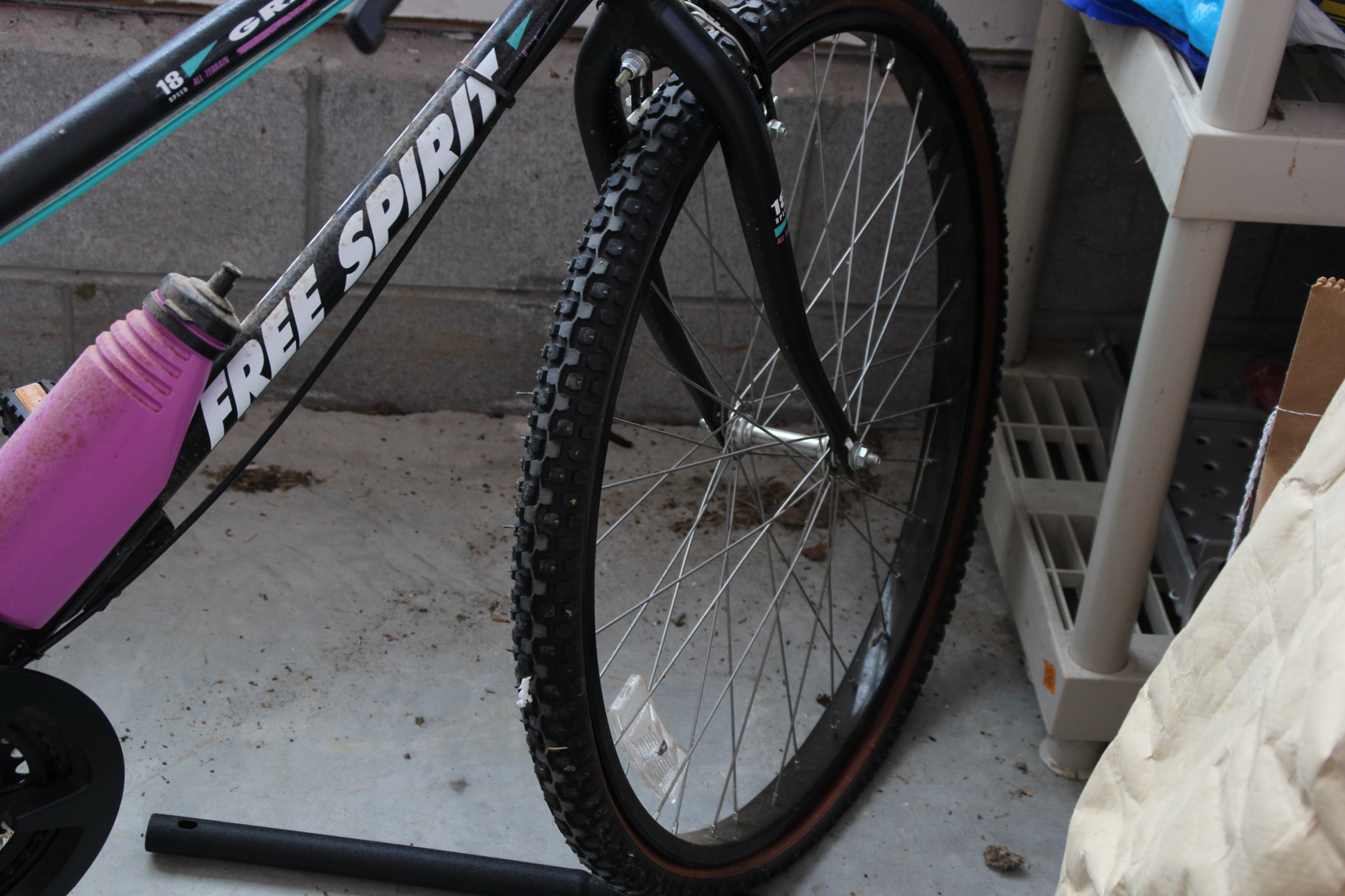 Free Spirit "Grand Peak" 18-Speed Women's Bike