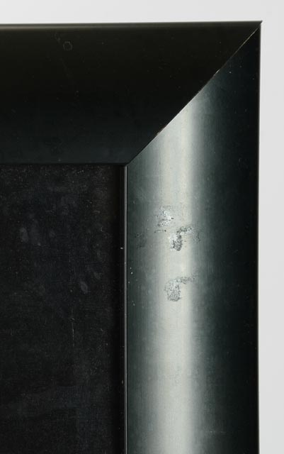 Dale Earnhardt Sr. Autographed Limited Edition Looney Tunes Print