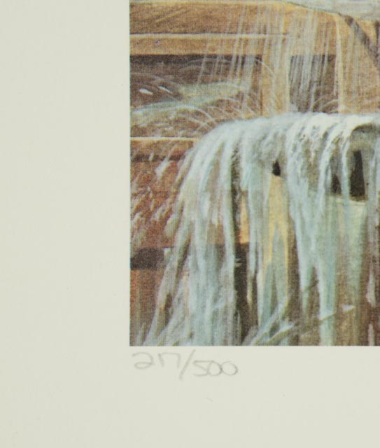 John Ruthven Signed LE Offset Lithograph "Bluejay"