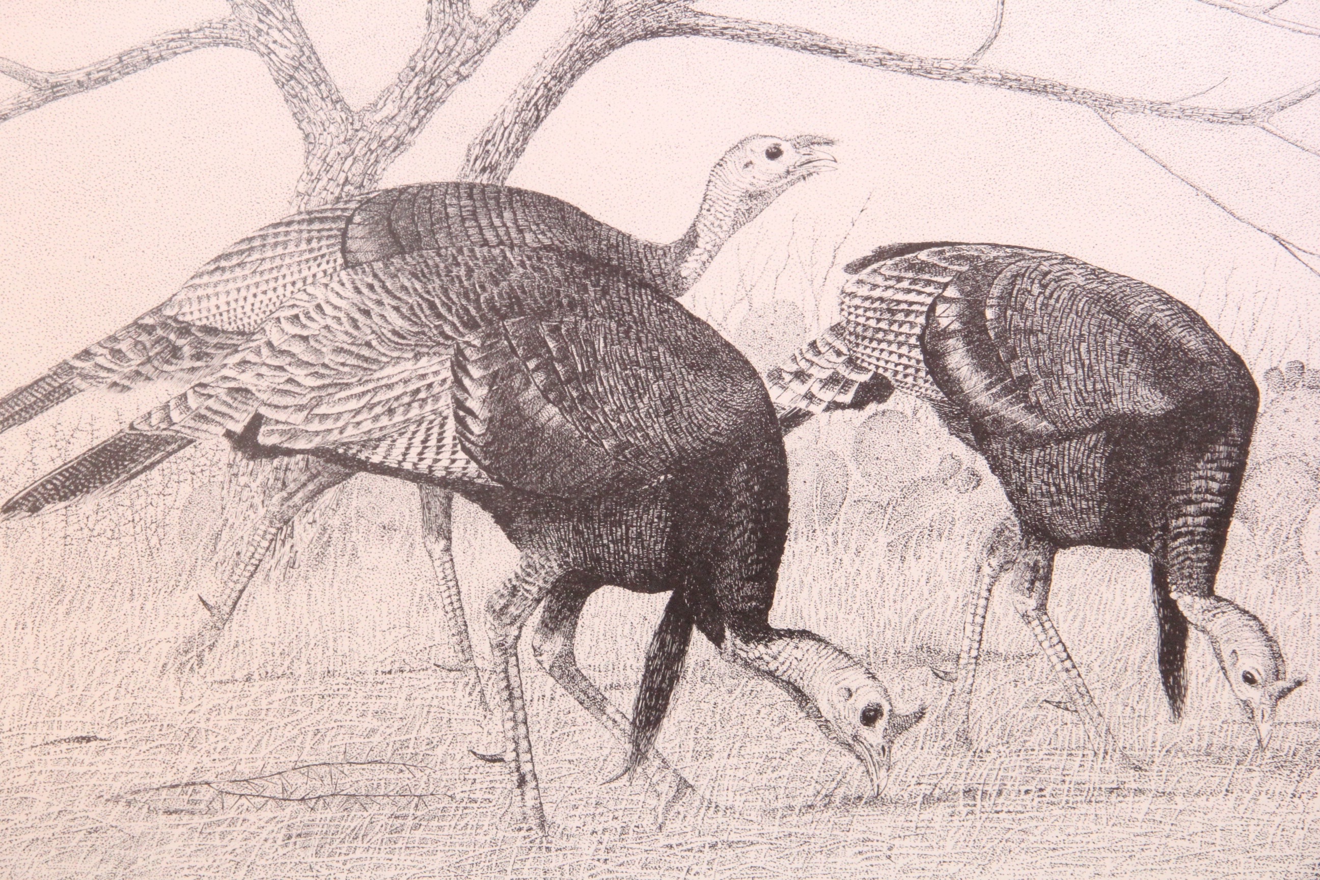 Four Framed Vintage 1960s Prints After Charles Beckendorf