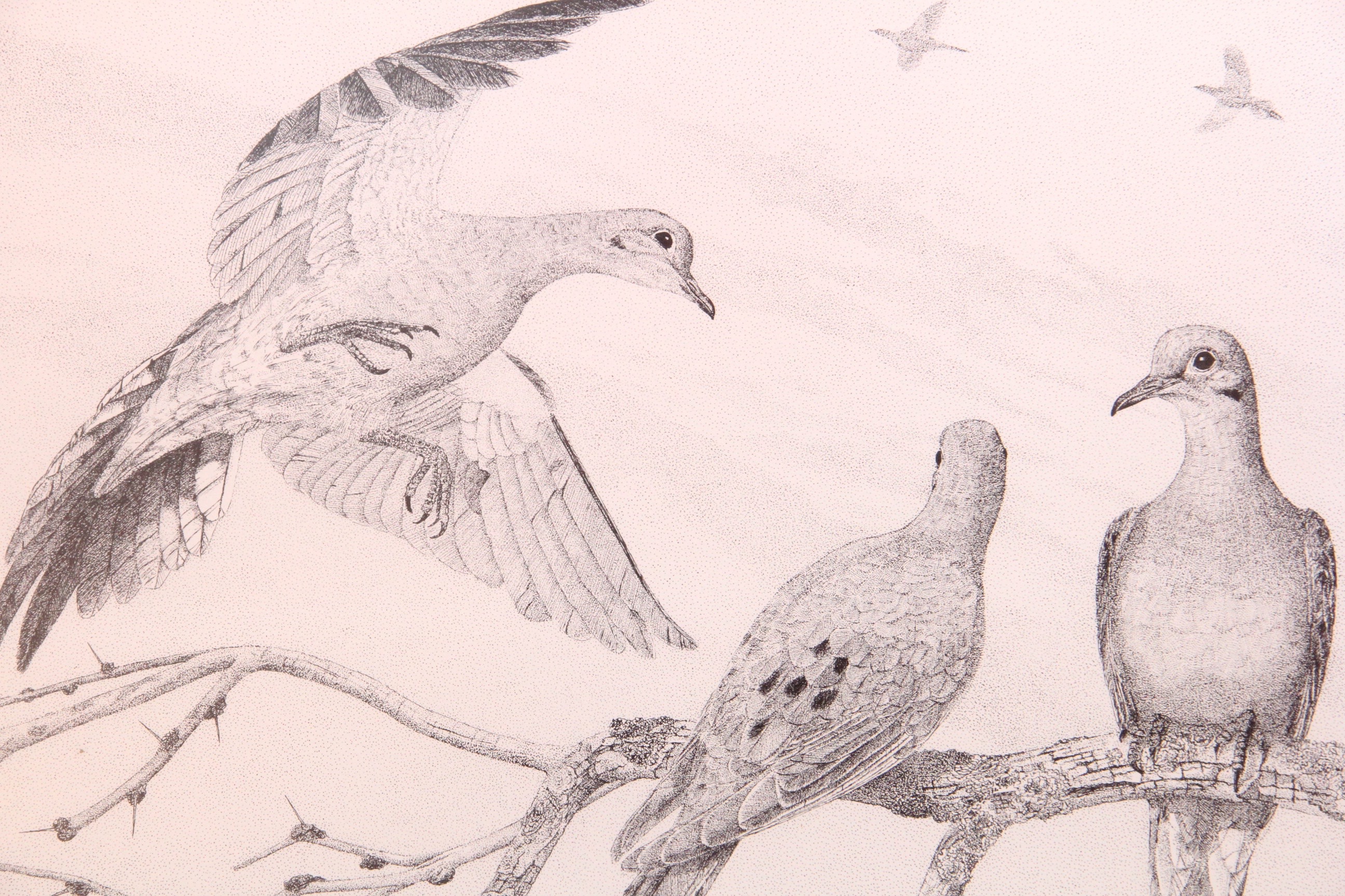 Four Framed Vintage 1960s Prints After Charles Beckendorf