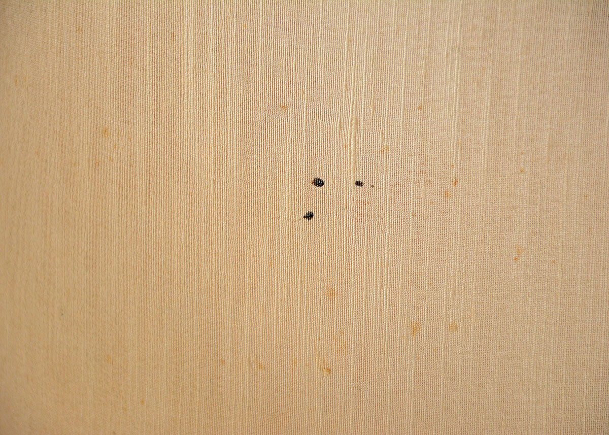 Pair of Vintage Lamps with Ceramic Bases