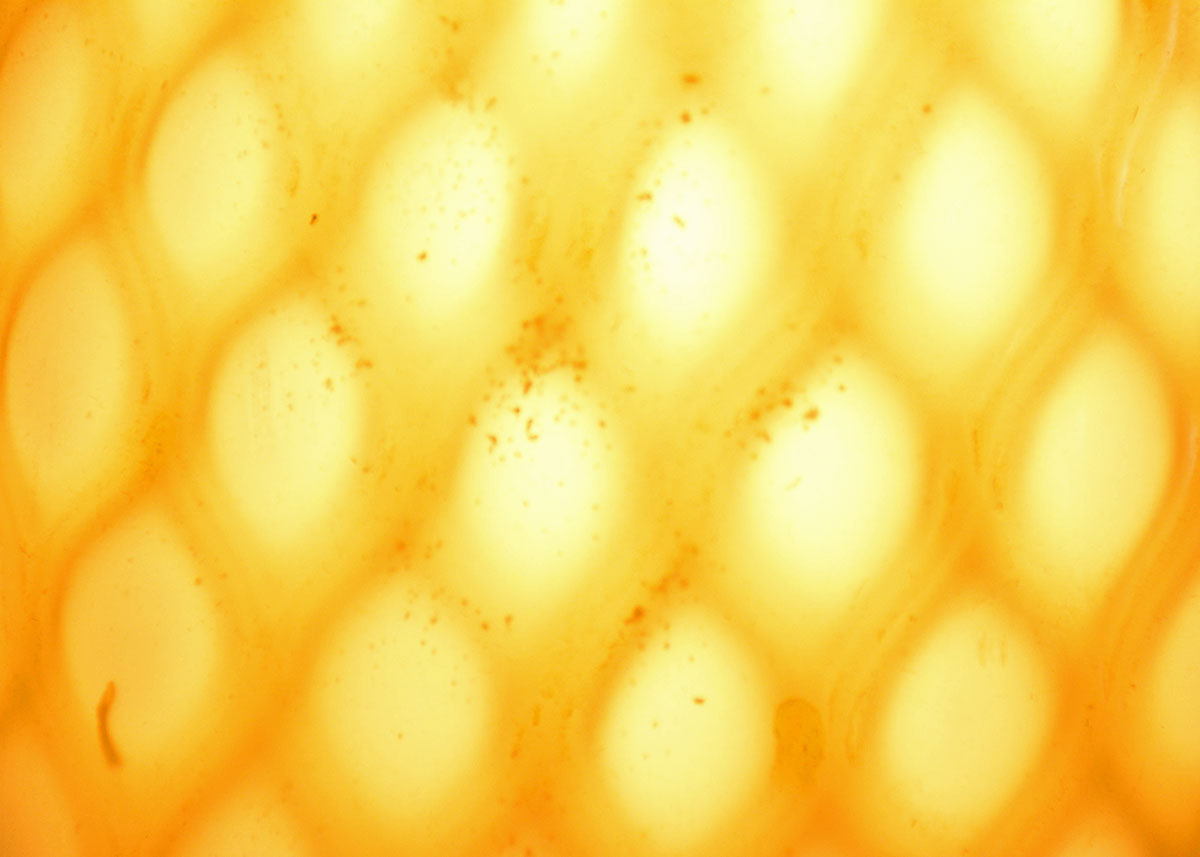 Mid Century Modern Art Glass Tension Pole Lamp