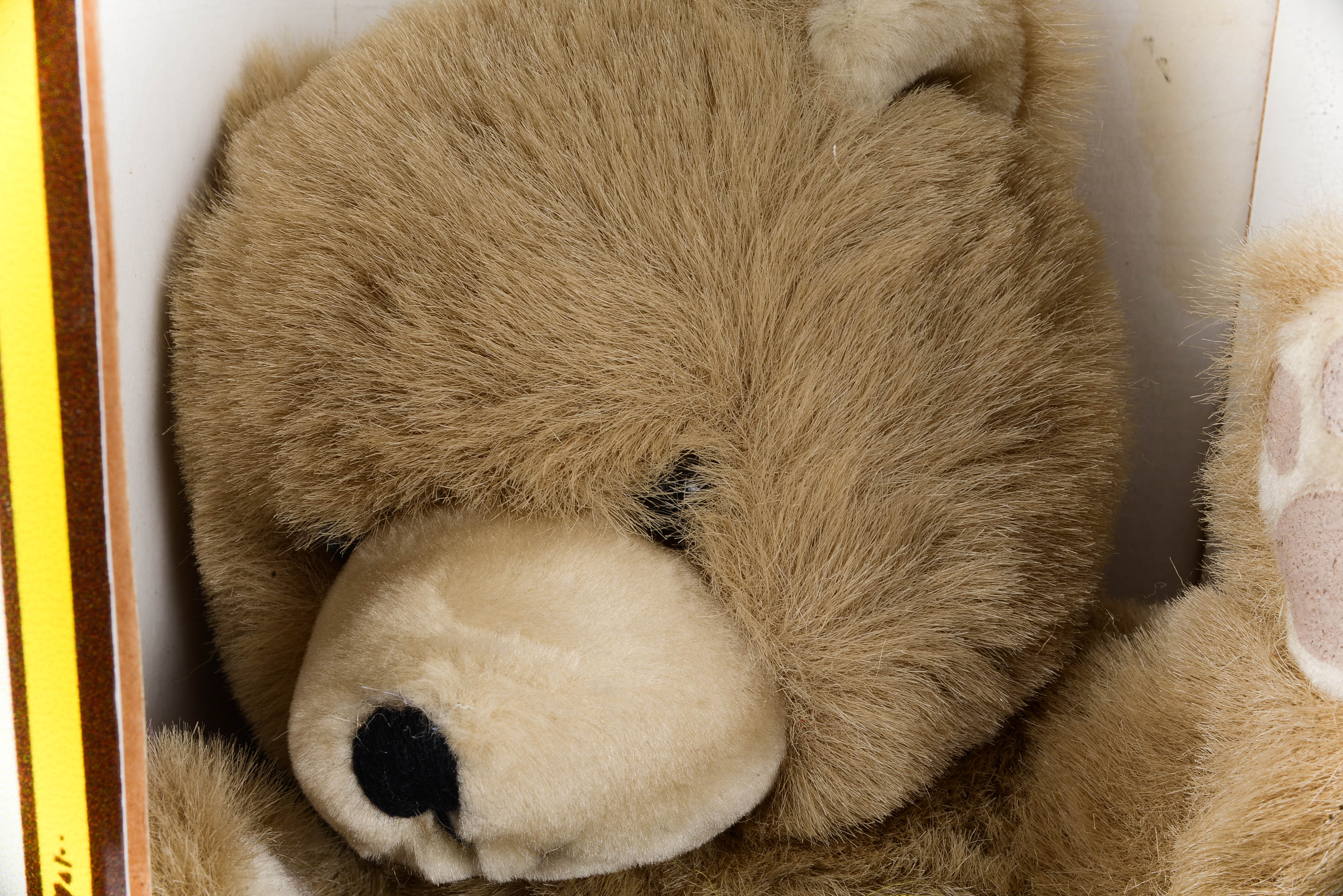 The Original Ideal Teddy Bear