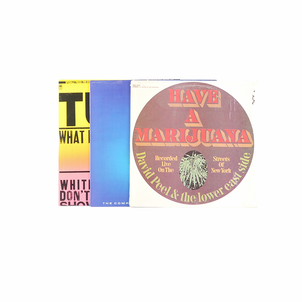 Rock and Folk Rock Vinyl Record Collection