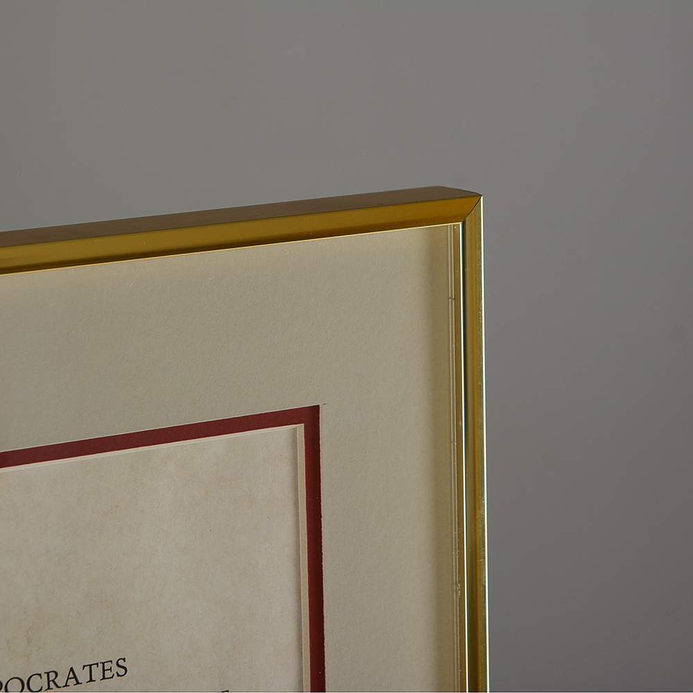 Hippocrates Themed Home Decor