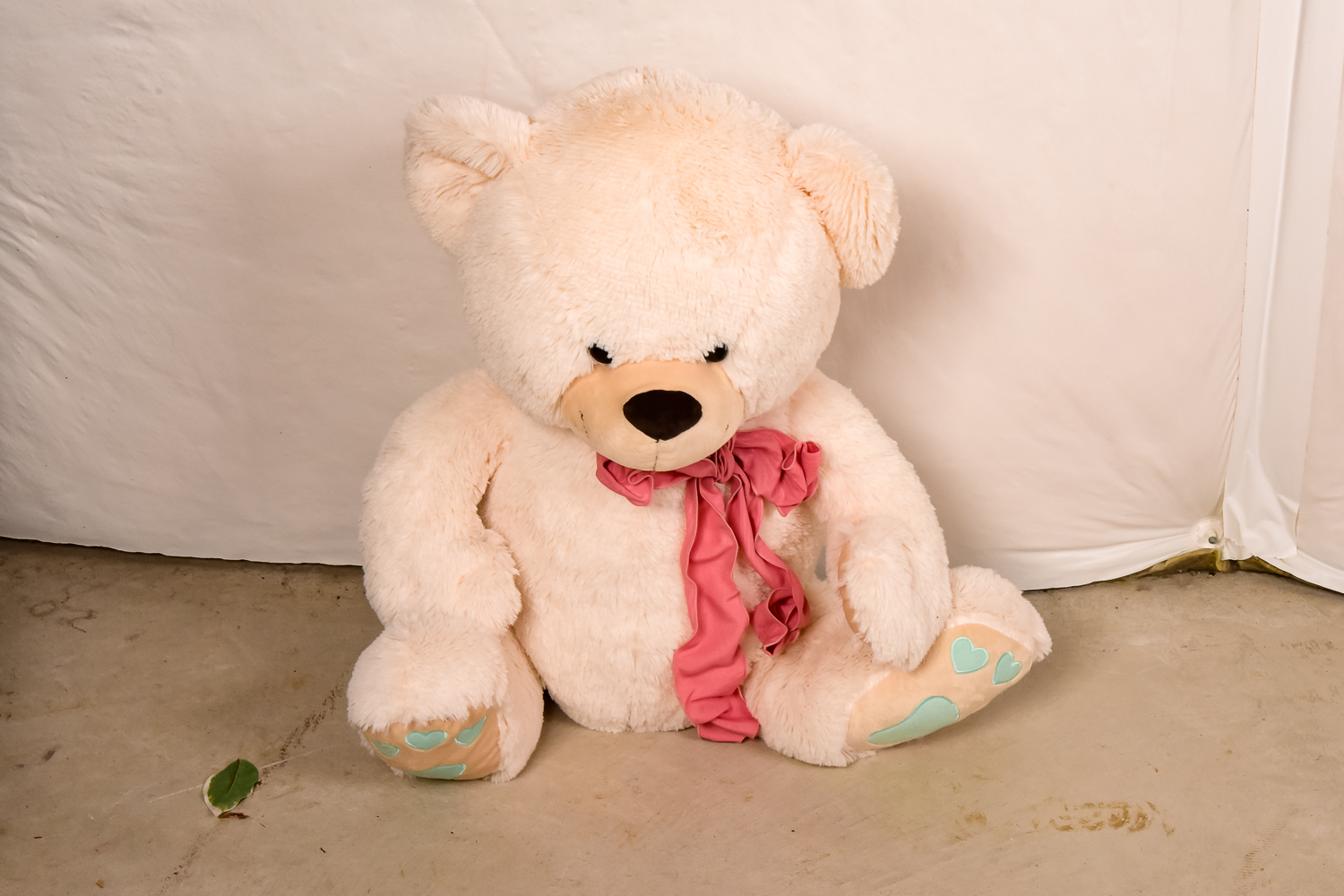 Collection of Stuffed Animals