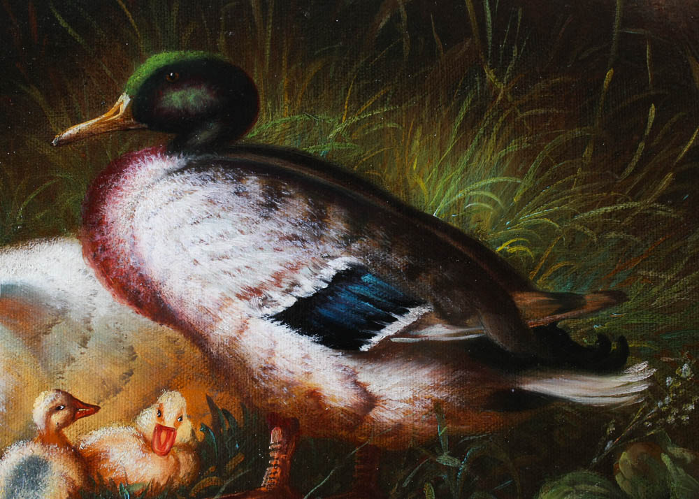 Original Wildlife Oil Painting By Borofsky